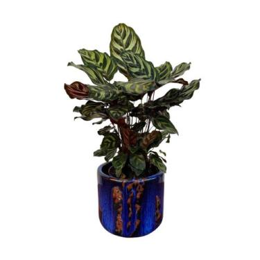 Imagem de Vaso Cachepot de Mesa 20cm Redondo de Cerâmica Texturizada - Verde Gar