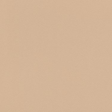 Imagem de Papel De Parede African Queen Iii Couro Bege 752694