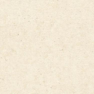 Imagem de Papel De Parede Concrete Concreto Bege 520835-c