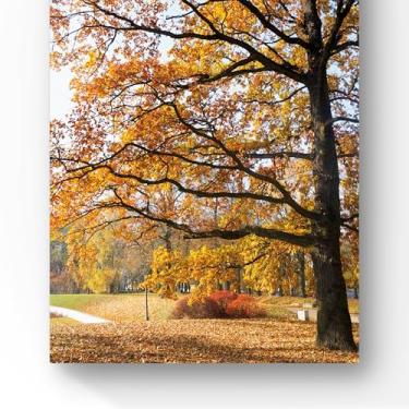 Imagem de Quadro Decorativo de Paisagem Outonal, Impressão em Alta Definição, Árvores com Folhas Douradas, 60x40 cm