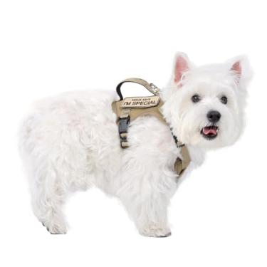 Imagem de Peitoral tático para cães pequenos – Colete refletivo para cães de serviço militar com alça vertical PP para treinamento ao ar livre