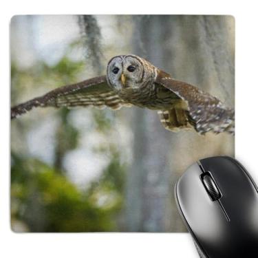 Imagem de Mouse pad com acabamento fosco "Coruja Barred Cipreste Careca Caddo Lago Texas Us44 Ldi0747Larry Ditto" - 20 x 20 cm - mp_146872_1