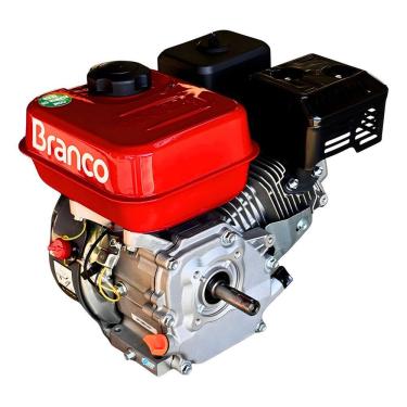 Imagem de Motobomba Combustão Branco 6,5hp 4 Tempos C/ Alerta De Óleo