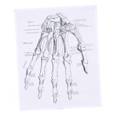Imagem de NIYANGLE 1 Peça Pôster De Parede De Anatomia Humana Imagem Da Anatomia Do Corpo Gráfico De Anatomia Da Mão Esqueleto Corpo Pôster Arte Anatômica Decoração Do Escritório Corpo Humano