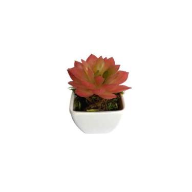 Imagem de Suculenta Artificial Mini Vaso de Plástico Branco - Melhores Ofertas, 