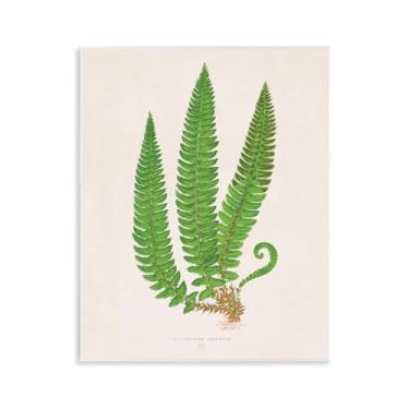 Imagem de Stupell Industries Arte de placa de parede trio de ramo de samambaia natural, design de Phillipa Katz, 28 x 35 cm