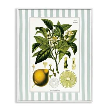 Imagem de Stupell Industries Desenho de arte giclée emoldurado branco com listras verdes de planta de limão por Lettered and Lined, 76 x 61 cm