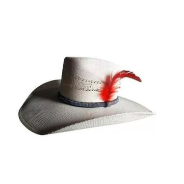 Imagem de Chapéu Country Pralana Feminino Com Strass Aba 12 TAM GG, BANGORA