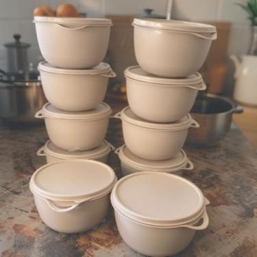 Imagem de Kit Potes Hermeticos de Plástico 500ml BPA Free Pequenas Porçoes, marmita fitness, saladeira, a escolher (BEGE)