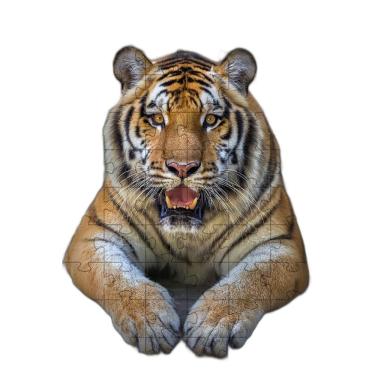 Imagem de Quebra-Cabeças Tigre De Bengala De 60 Peças Educativo