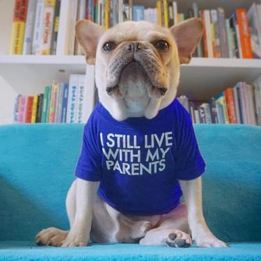 Imagem de Camisetas para cães, roupas para cães de estimação, camiseta de verão de manga curta para cães pequenos, roupa respirável para filhotes, pulôver para animais de estimação, camiseta básica, azul royal