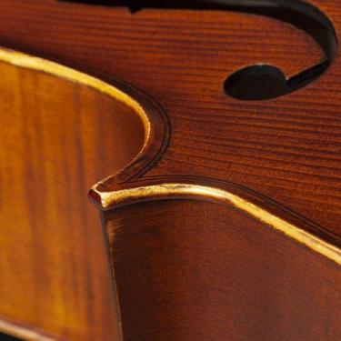 Imagem de Violoncelo Profissional 4/4 Cello Eagle Ce310  C/ Estojo