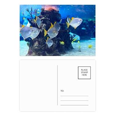 Imagem de Conjunto de cartões postais de aniversário com imagens da natureza Ocean Fish Science
