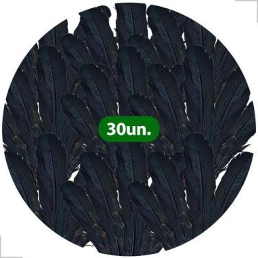 Imagem de Kit 30un Pena de Passaro Agbe Africano Para Ritual Candomble Espiritua