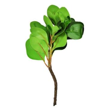 Imagem de Folhagem Clusia Real Toque Para Decoração Flor Arte Verde 33cm - DEA