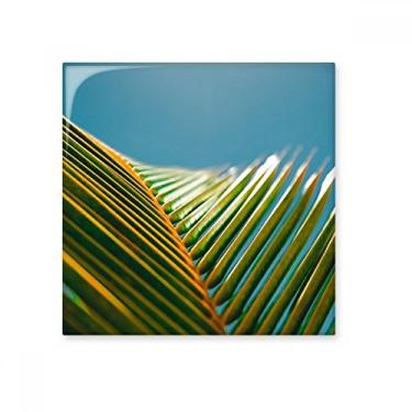 Imagem de Planta de folha natureza céu azul fotografia azulejo de cerâmica brilhante decalque pedra adornada tijolo vitrificado