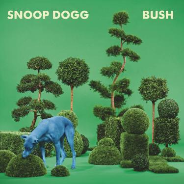 Imagem de Bush