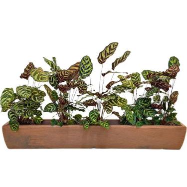 Imagem de Jardineira Viena Para Plantas 100x14cm Floreira Polietileno - Alpe & A