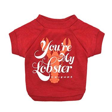 Imagem de Camiseta para cães Friends Show de TV"You're My Lobster" em vermelho | Camiseta macia para cães, lavável na máquina, leve e semielástica | Tamanho PP para todos os cães pequenos e filhotes