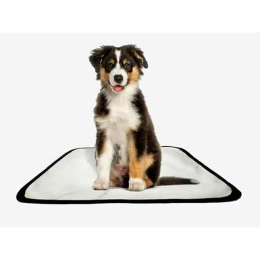 Imagem de Tapete Pet Reutilizável Educador Dog Oferta 5 Un P 50X60Cm - Shelby Mo