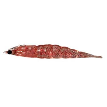 Imagem de Matadeira new camarao robaleiro 4,8cm cor 29