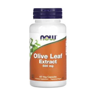 Imagem de NOW Foods Extrato Folha de Olive 500mg 60 Cáps Importado
