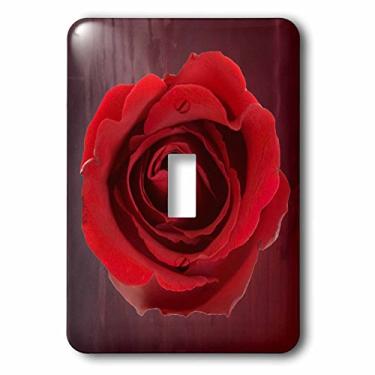 Imagem de 3dRose Valentines Day, red rose, 3dRose, painted background, Single Toggle Switch