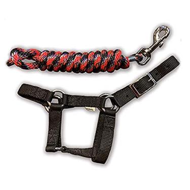 Imagem de HalterUp Miniature Horse Foal Halter and Lead Rope - Cute and Stylish Black Mini Horse Foal Halters and Leads…Fits minis up to approx 6 mo. of age