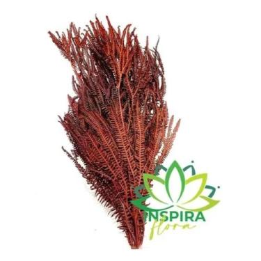 Imagem de Buquê Capim Secos Samambaia Crespa Campo Vermelha Arranjo - FLORA FULL
