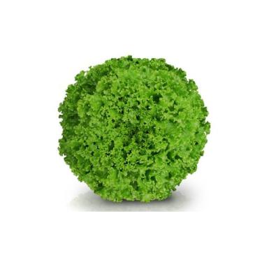 Imagem de Alface Crespa Jade Peletizada Sakata 1.000 sementes