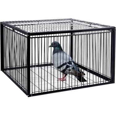Imagem de Armadilha para pombos com design à prova de fuga, gaiolas para animais vivos humanos, gaiola para pombos com entrada unidirecional, gaiola para galinhas e pássaros, fácil montagem, uma cor,