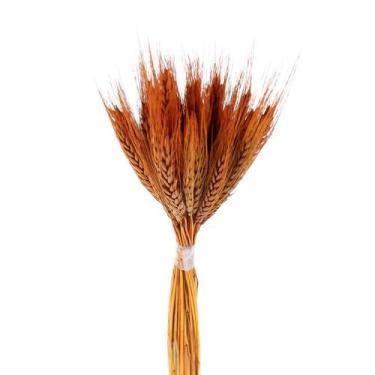 Imagem de Trigo Laranja Desidratado p/ Decoração - Tem Flores