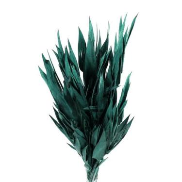 Imagem de Capim Navalha Folha André Quice Verde - Tem Flores