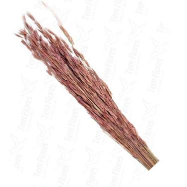 Imagem de Capim Trigão Flor Desidratada Buque Flores Secas - Pense Flores, Rosa