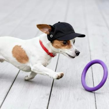 Imagem de Boné de beisebol para animais de estimação com alça ajustável, chapéu de algodão para cães com orifícios de ventilação, boné preto de proteção solar para uso ao ar livre