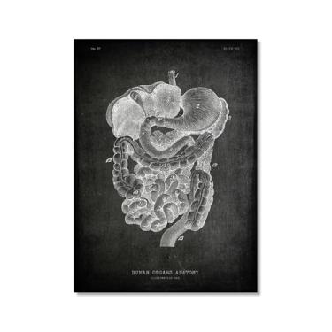 Imagem de Arte vintage de anatomia humana – pintura em tela de educação médica esqueleto humano gaiola cérebro coração anatomia pôster para decoração de casa de clínica hospitalar (SKU10,20.3x30.5 cm = (20 x 30