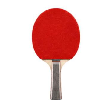 Imagem de Raquete Tênis Ping Pong Madeira EVA E Borracha 6mm - Yin's