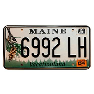 Imagem de Placa de Carro Decor em Madeira State Route - Maine