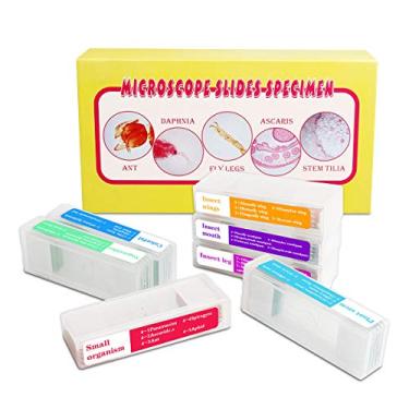Imagem de Bysameyee 35 peças de microscópio preparado desliza com 7 tipos de espécimes, inseto/planta de vidro amostras deslizante para crianças adultos família pré-escola educação científica iluminação