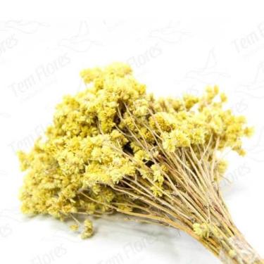 Imagem de Marcela Natural Flor Desidratada Buque Flores Secas - Tem Flores