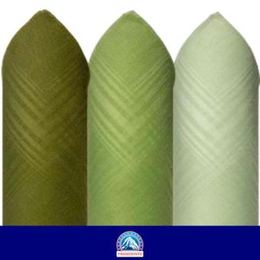 Imagem de Lenços de Bolso 100% Algodão Premier 32x32 cm - Caixa com 3, Verde, 24