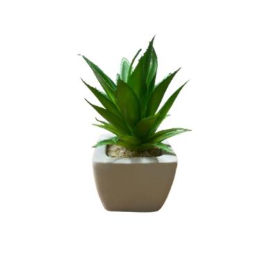 Imagem de Suculentas Artificiais Mini Vaso Cerâmica Branco