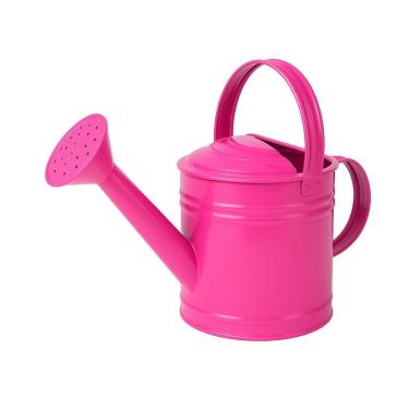 Imagem de Mini Regador de Metal Galvanizado 3 Litros - Jardim, Horta e Decoração - SF17