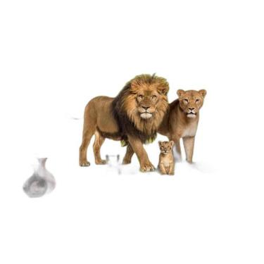 Imagem de Papel De Parede Animais Leão Família Filhotes 3,5M Anm509 - Você Decor