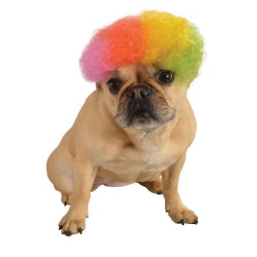 Imagem de Rubie's Peruca para animais de estimação, média a grande, arco-íris afro