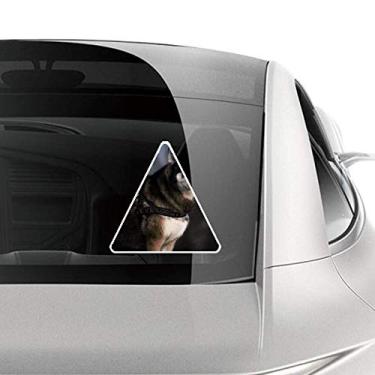 Imagem de DIYthinker Adesivo Dog Husky Animal Lonely Night para carro motocicleta bicicleta bagagem decalque