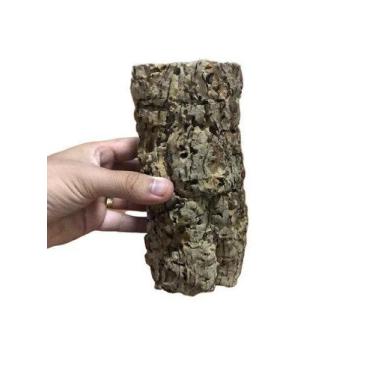 Imagem de 6 Pçs Mini Tronco Oco para Orquideas e Terrarios - Pense Flores