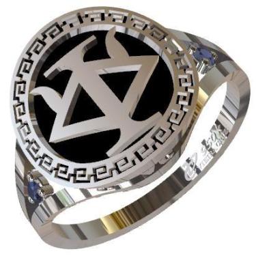 Imagem de Anel De Formatura De Recursos Humanos Em Prata 950k - Vieira Cruz Jóia