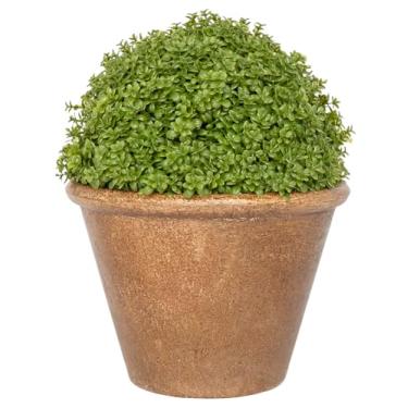 Imagem de Boston International Planta artificial artificial em vaso em urna decorativa, 21 cm, tomilho pontilhado