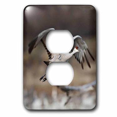 Imagem de 3dRose Lsp_145237_6 Sandhill Crane Bird Takes Flight, Novo México, EUA Us32 Ldi0040 Larry Ditto 2 Tampa de tomada